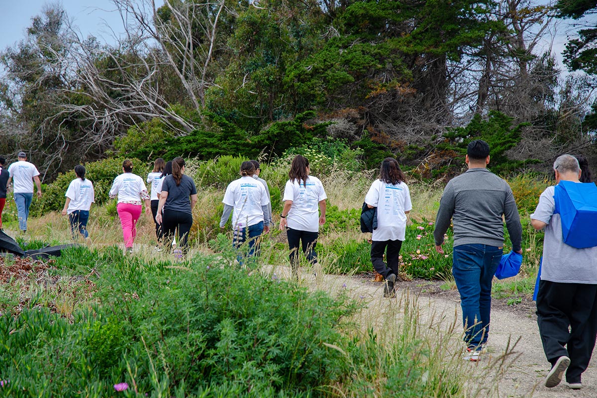 Wellness Walk