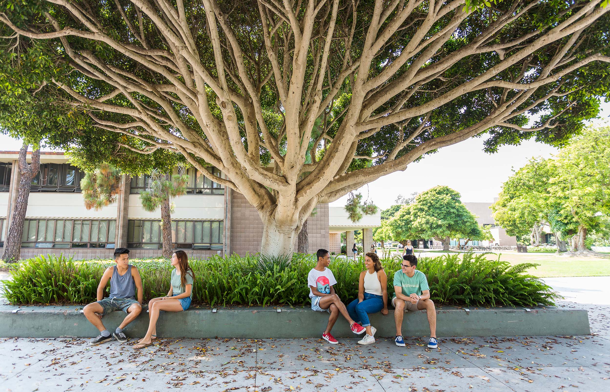 UCSB Students having conversation