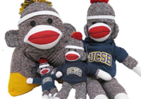 Stuffed animals wearing UCSB logo t-shirts