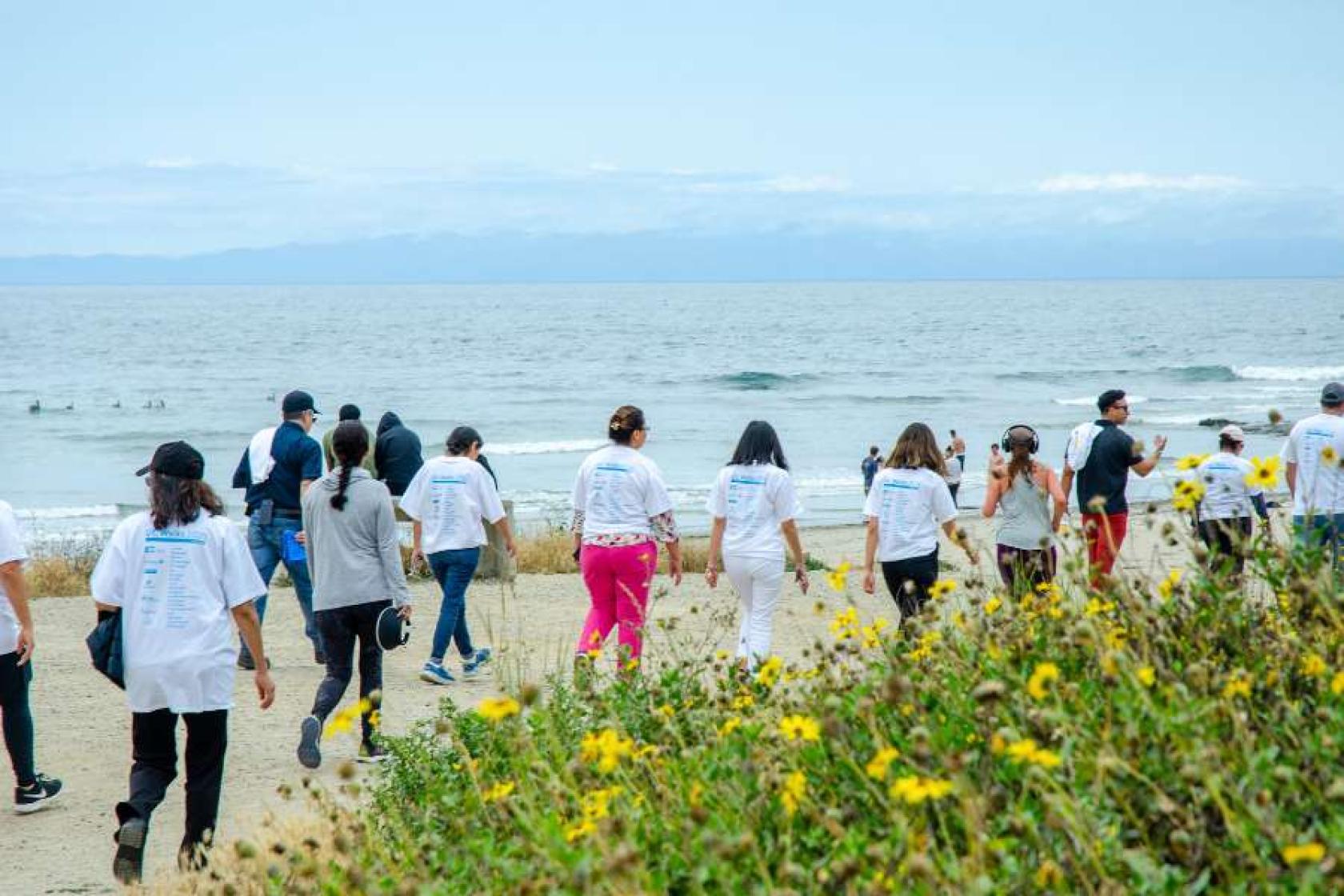 HDAE Staff members walking in a line along Campus Point Beach with wildflowers in the bottom right corner